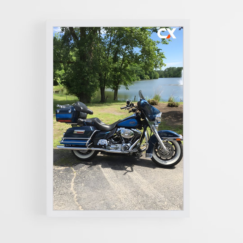 Poster Electra sublime glisse – affiche Harley-Davidson (vue 3)